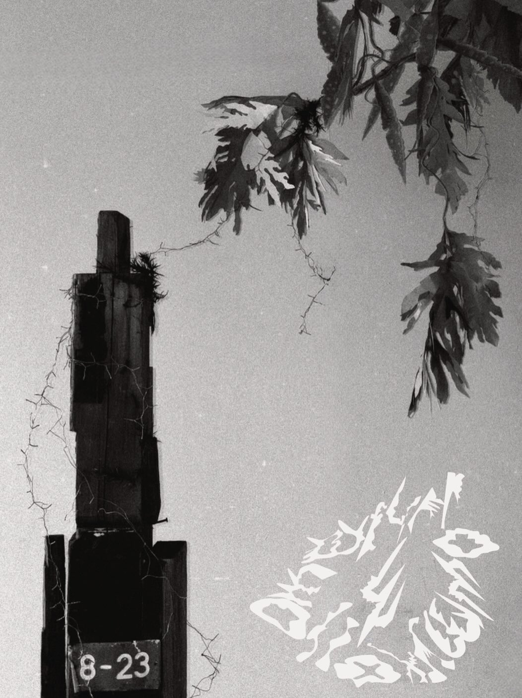 大久保海咲 個展「me furrow my follow」